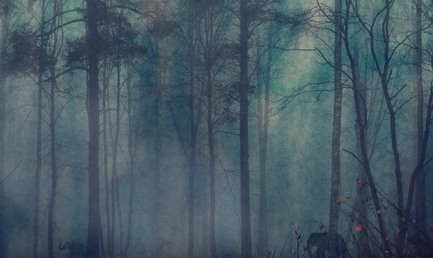 La Fabrique Cinéma 2022 : Elephants In The Fog (Nepal)