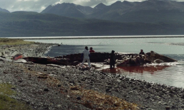 La Fabrique Cinéma 2023 : Erratics (Chili)