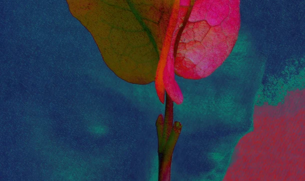 THE FLOWERS OF THE DEAD