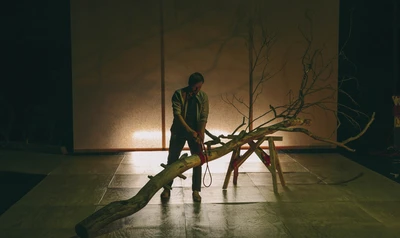 L'expérience de l'arbre - Simon Gauchet 