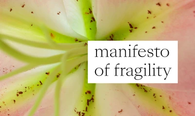 Manifesto of fragility 