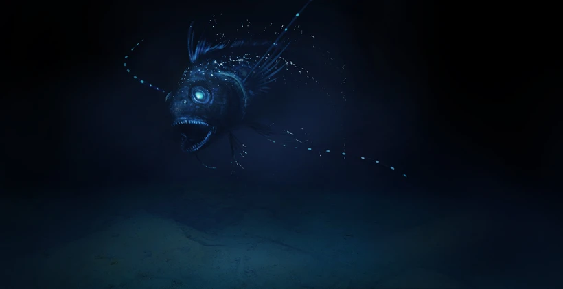 Biolum 