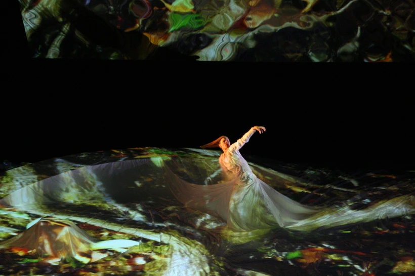 Double Vision de Carolyn Carlson