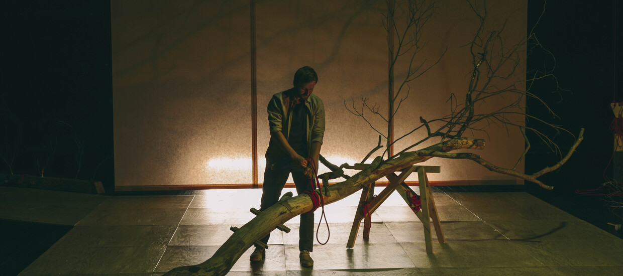 L'expérience de l'arbre - Simon Gauchet 