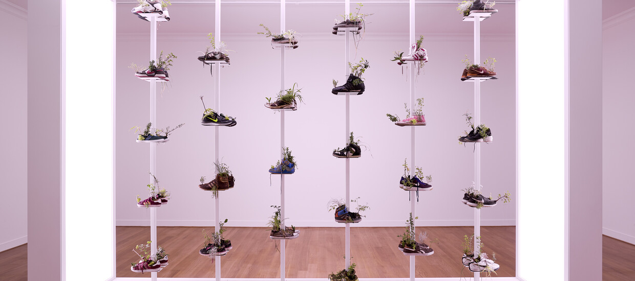 Collection de chaussures, de Michel Blazy