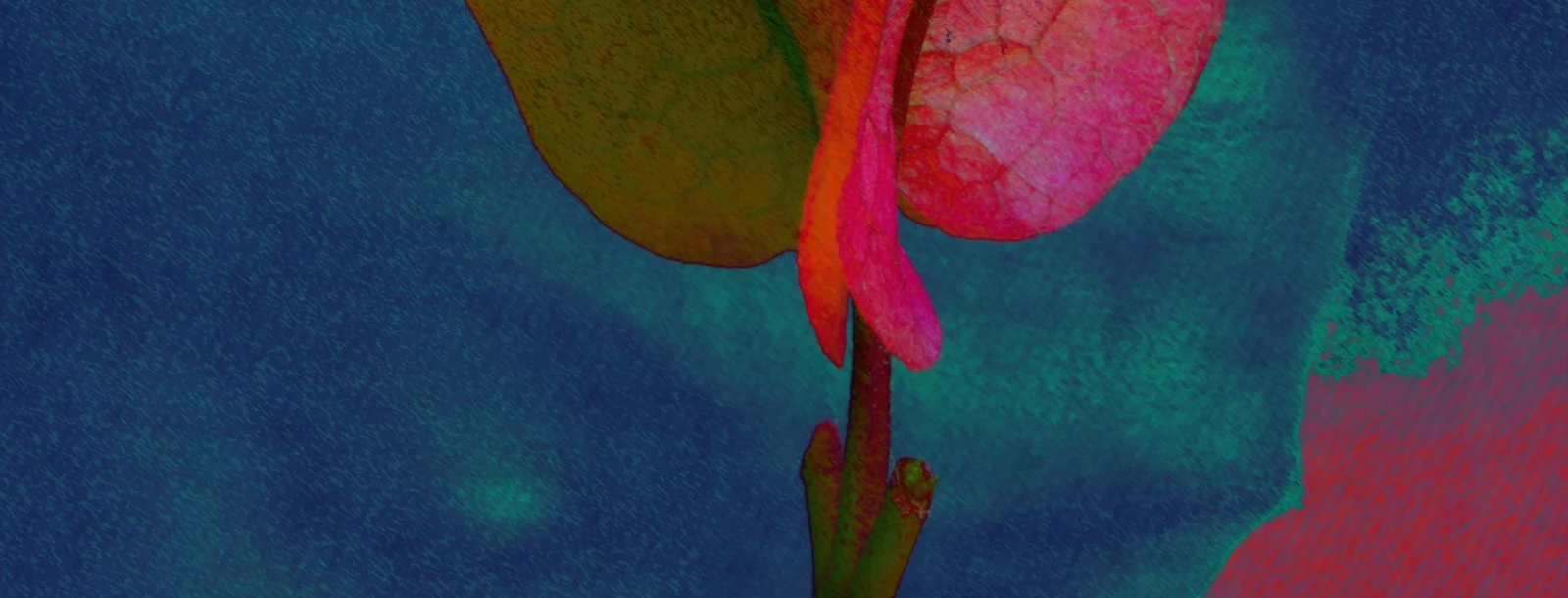 THE FLOWERS OF THE DEAD