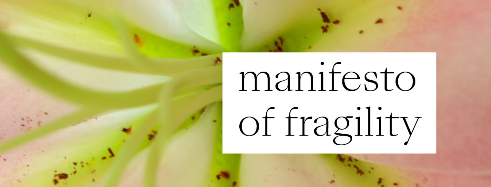 Manifesto of fragility 