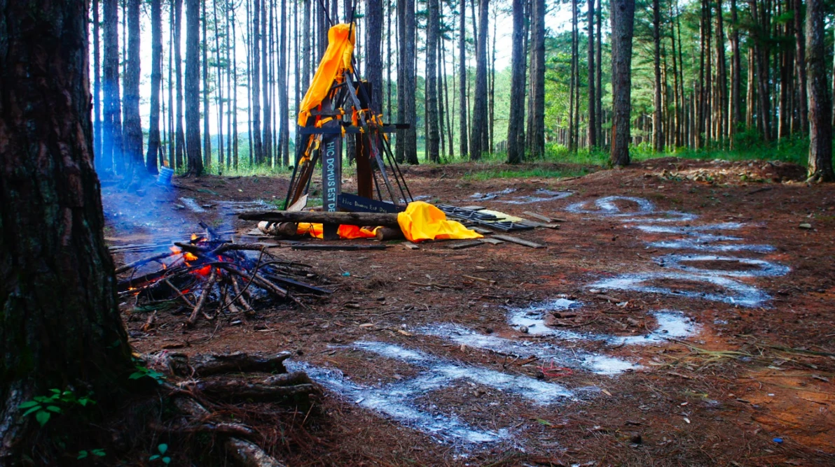 Lê Phi Long (Vietnam - Arts visuels)