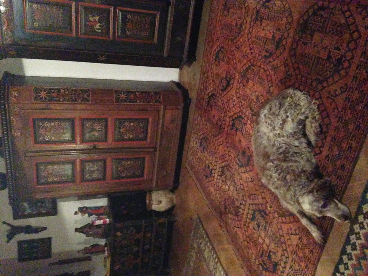 Chérie, la chienne d’Annette Roman, dont la maison abrite un véritable petit musée des arts populaires, objets, tissus, meubles souabes et slovaques, collectionnés pendant des décennies. 