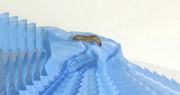 Plat de Résistance Création Radiophonique, stéréo, 27 min, 2018 Production France Culture, Creation on air, Sound Factory