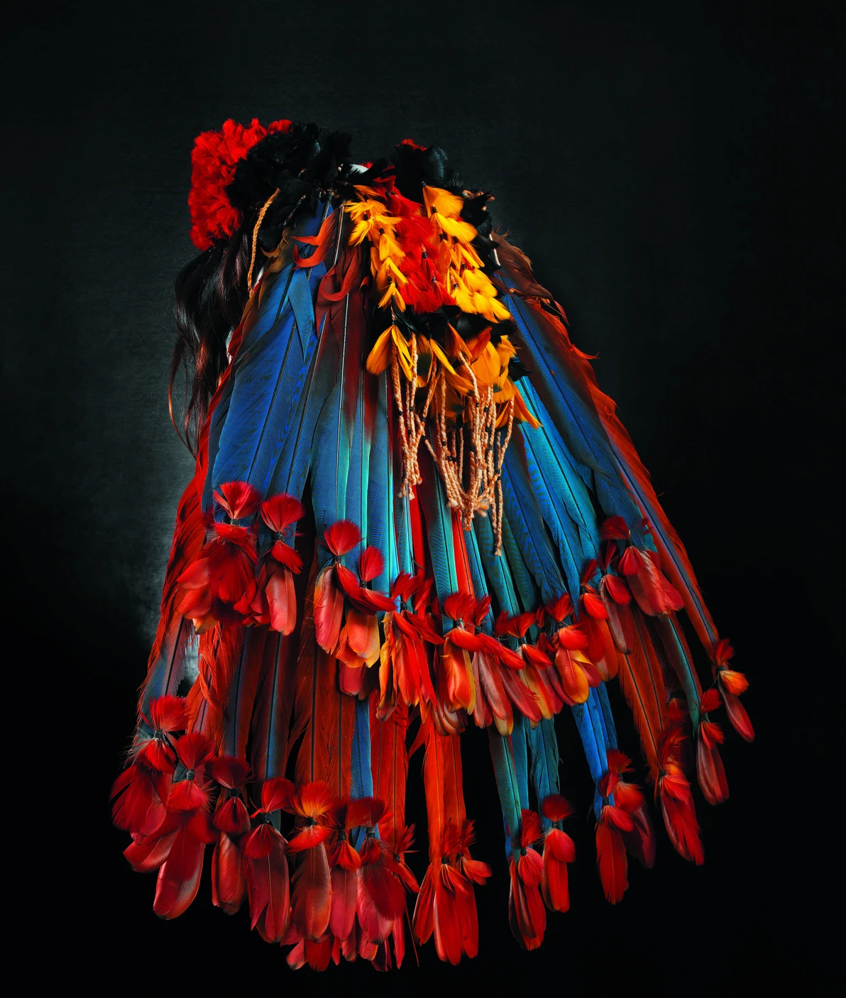 Exposition "Bre?sil indien" au Grand Palais