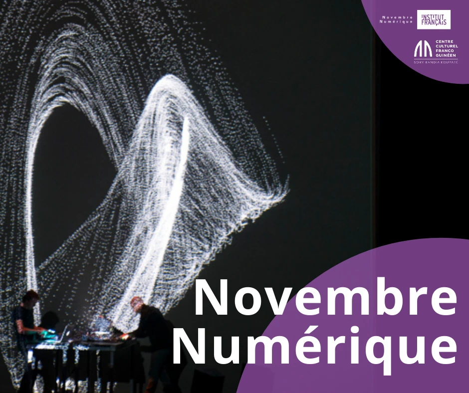NN20 Centre Culturel Franco-Guine?en
