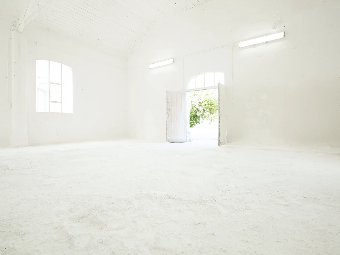 Oeuvre de Vincent Lamouroux