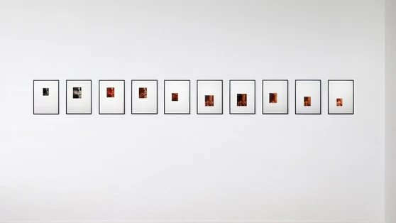 Accrochages - Etude d'un culte