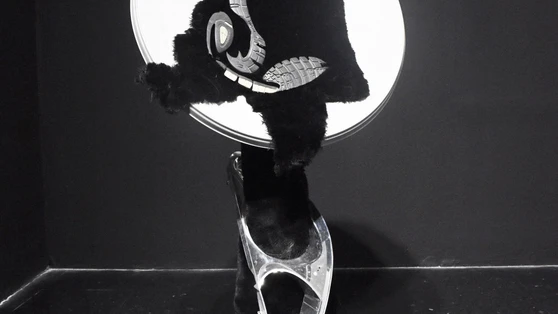 Tinno Circadian - "Hibridaxiones" (2020) 