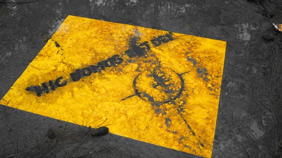 Lê Phi Long (Vietnam - Arts visuels)