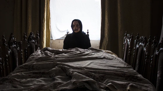 Aya El-Sayed (Egypte - Cinéma)