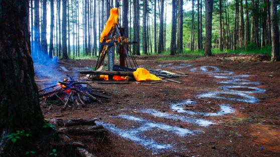 Lê Phi Long (Vietnam - Arts visuels)