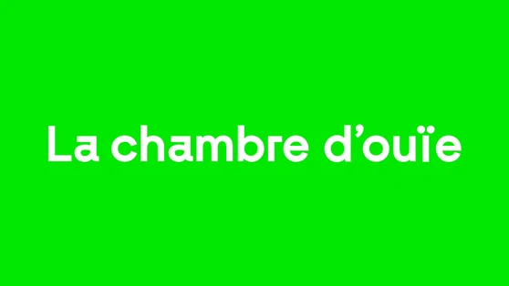 La chambre d’ouïe Expérience d’écoute en binaural et création web, 2019 Avec le soutien à un projet artistique du Centre national des arts plastiques (CNAP) et Le Fresnoy-Studio National des Arts Contemporains