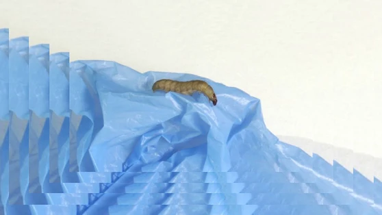 Plat de Résistance Création Radiophonique, stéréo, 27 min, 2018 Production France Culture, Creation on air, Sound Factory