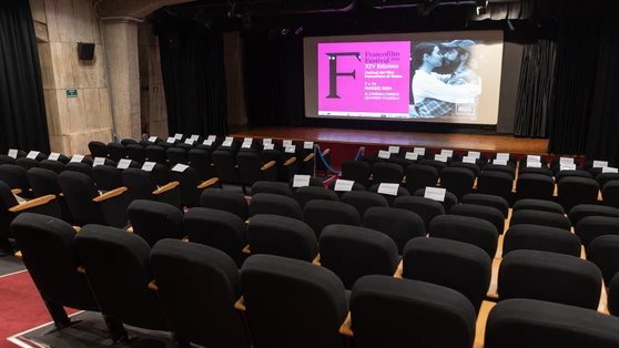 Institut fran?ais Centre Saint-Louis