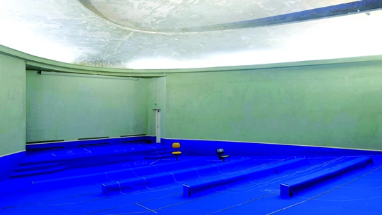 Anne Le Troter - Liste à puces (2017),  pièce sonore, 15 minutes Installation Matériaux divers, dimensions variables Production Palais de Tokyo