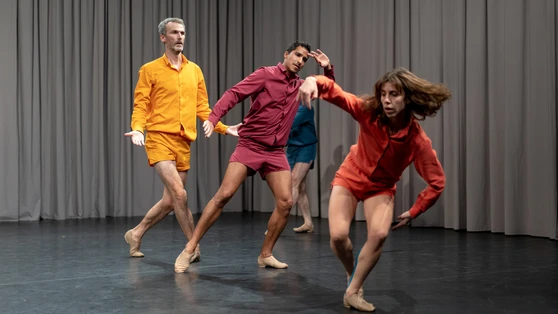 DD Dorvillier & Zeena Parkins - Danza Permanente