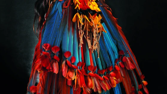 Exposition "Bre?sil indien" au Grand Palais