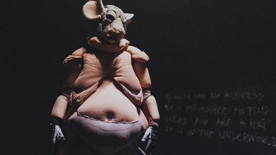 Rui Paix?o - KISNKI 