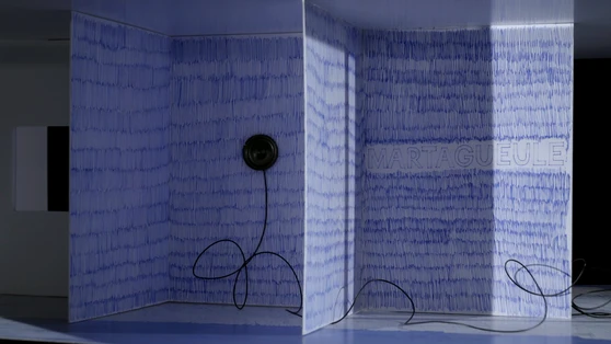 Anne Le Troter - MARTAGUEULE (2019),  installation vidéo, 15 minutes Production Palais de Tokyo ? Futur, ancien, fugitif ?