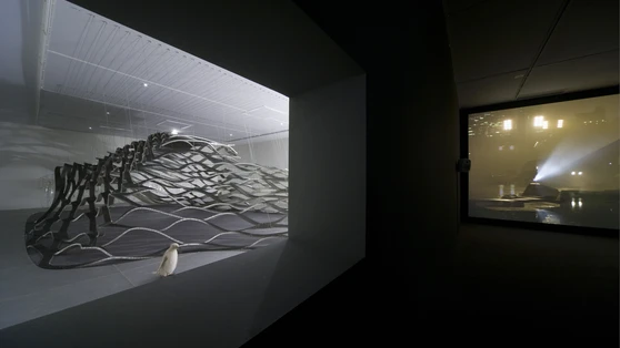 Pierre Huyghe, "Terra Incognit" et "Isla Ociosidad", 2006 