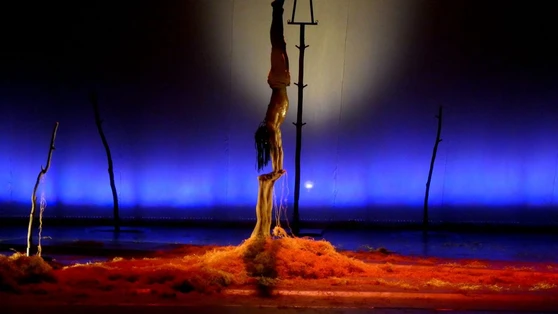 Compagnie SenCirk 