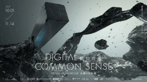 Digital Common Sense, Taiwan